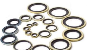 Picture for category Hydraulic Gaskets & Seals
