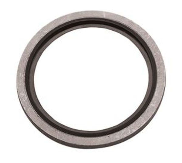 Picture of 1/4" Hydraulic Dowty Seal - Stainless Steel