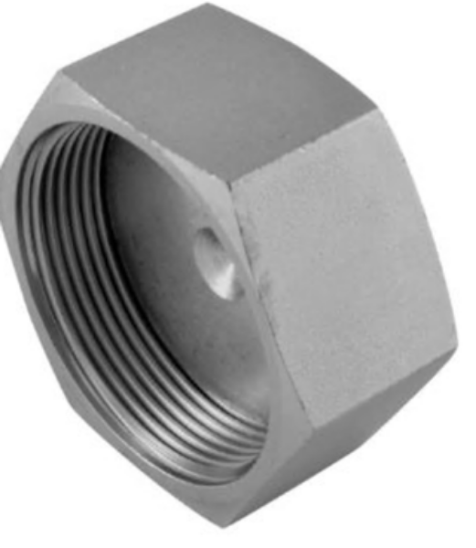 Picture of ORFS Female Cap - Hyd Adaptor