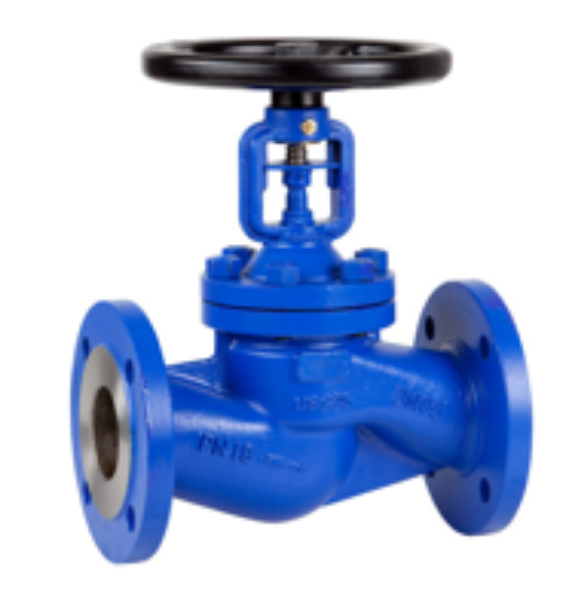 Picture of Globe Valves