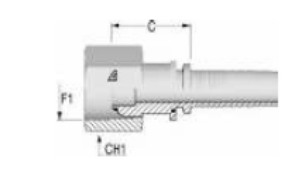 Picture of BSP Female Straight Hydraulic Insert 